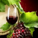 Legislação sobre Vinha e vinho