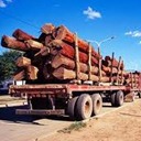 Legislação sobre Sistema de Diligência Devida - Desflorestação